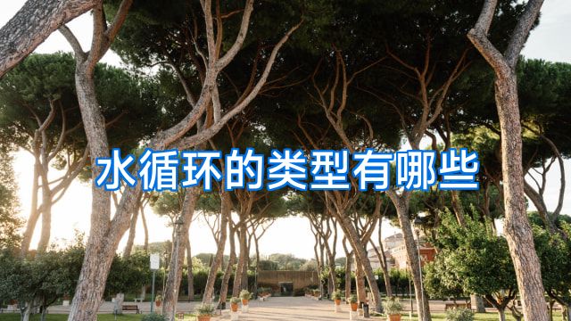 水循环的类型有哪些