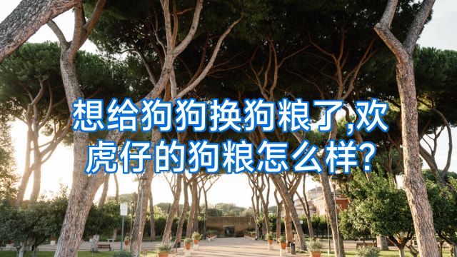 想给狗狗换狗粮了,欢虎仔的狗粮怎么样?