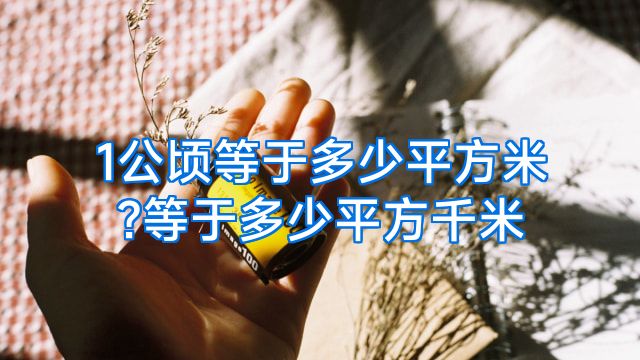 1公顷等于多少平方米?等于多少平方千米