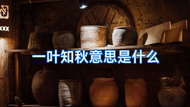 一叶知秋意思是什么