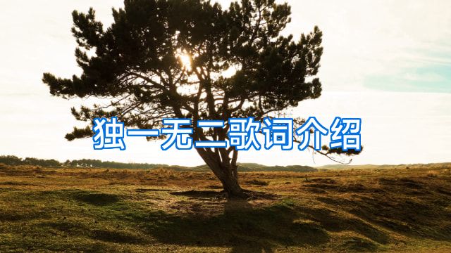 独一无二歌词介绍