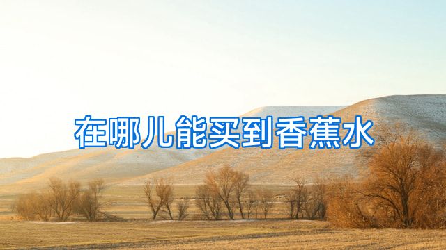 在哪儿能买到香蕉水