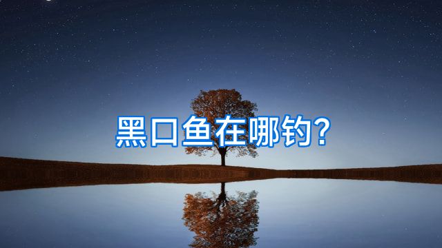 黑口鱼在哪钓?