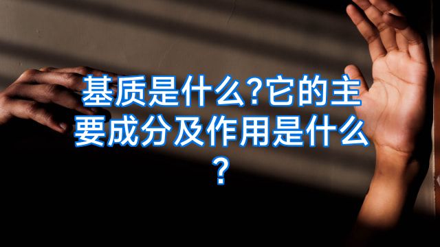 基质是什么?它的主要成分及作用是什么?