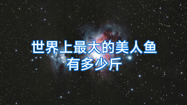 世界上最大的美人鱼有多少斤