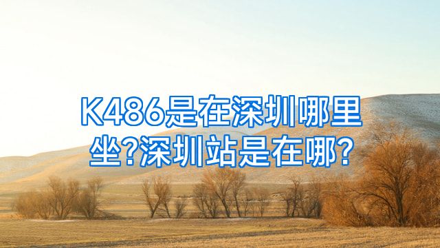 K486是在深圳哪里坐?深圳站是在哪?