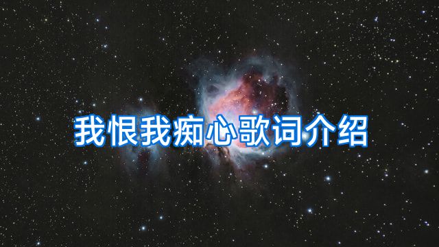 我恨我痴心歌词介绍