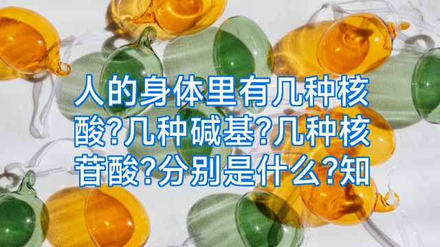 人的身体里有几种核酸?几种碱基?几种核苷酸?分别是什么?知