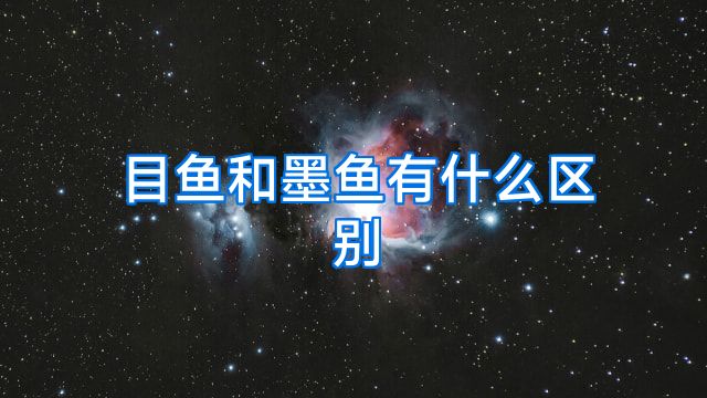 目鱼和墨鱼有什么区别