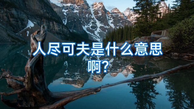 人尽可夫是什么意思啊?