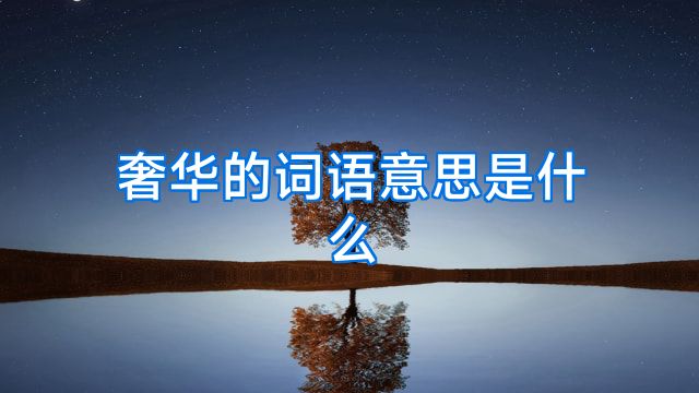 奢华的词语意思是什么