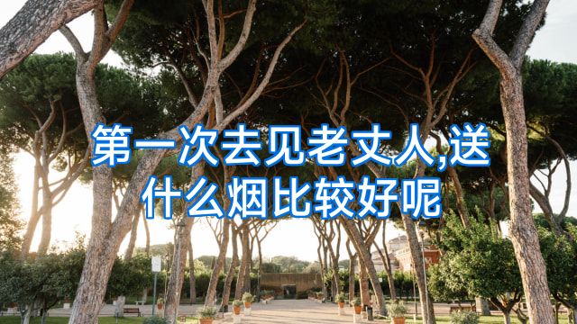 第一次去见老丈人,送什么烟比较好呢