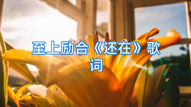 至上励合《还在》歌词