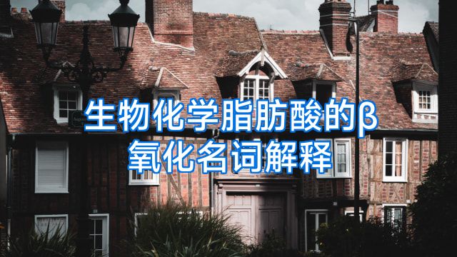 生物化学脂肪酸的β氧化名词解释