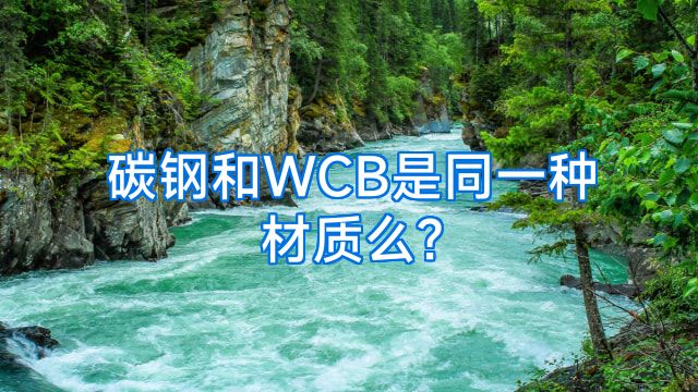 碳钢和WCB是同一种材质么?