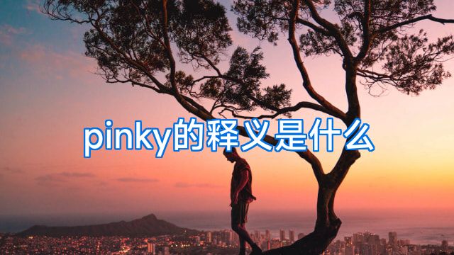 pinky的释义是什么