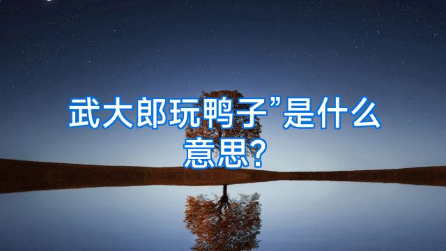 武大郎玩鸭子”是什么意思?