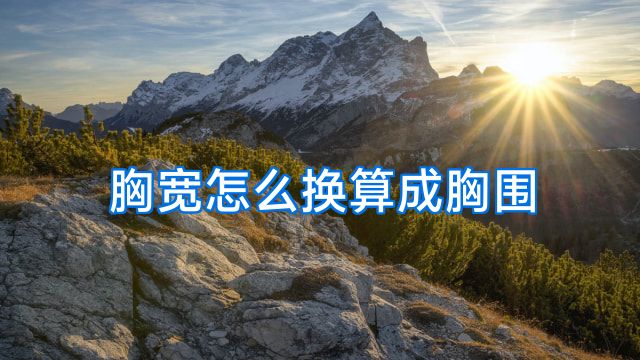胸宽怎么换算成胸围