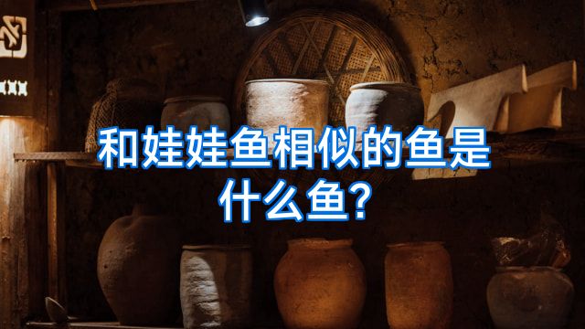 和娃娃鱼相似的鱼是什么鱼?