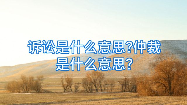 诉讼是什么意思?仲裁是什么意思?