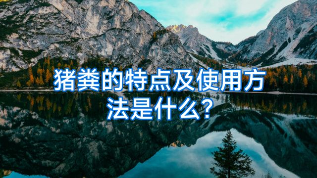 猪粪的特点及使用方法是什么?