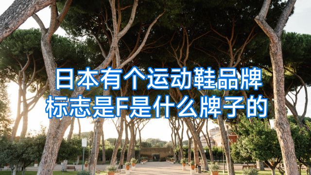 日本有个运动鞋品牌标志是F是什么牌子的