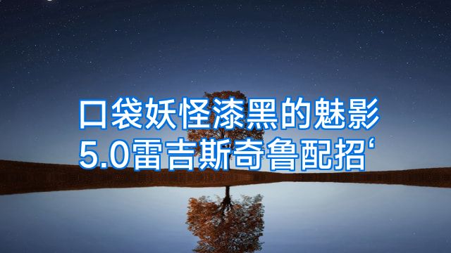 口袋妖怪漆黑的魅影5.0雷吉斯奇鲁配招‘
