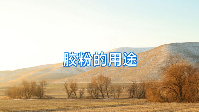 胶粉的用途