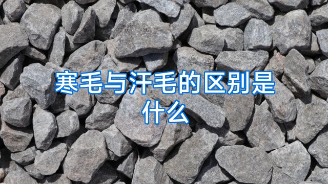寒毛与汗毛的区别是什么