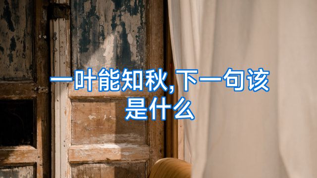 一叶能知秋,下一句该是什么