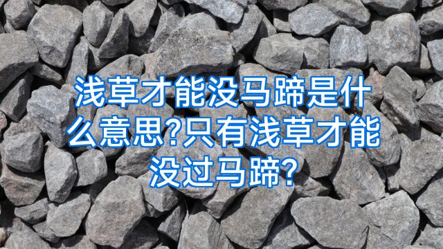 浅草才能没马蹄是什么意思?只有浅草才能没过马蹄?