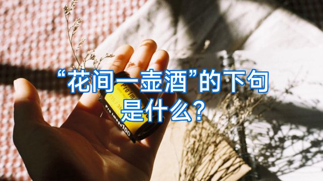“花间一壶酒”的下句是什么?