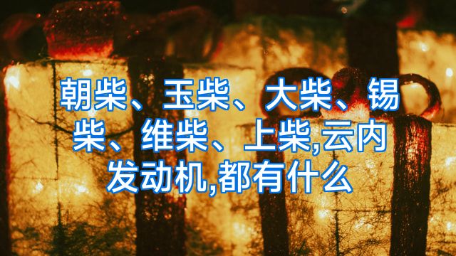 朝柴、玉柴、大柴、锡柴、维柴、上柴,云内发动机,都有什么