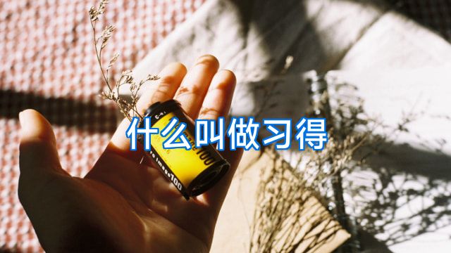 什么叫做习得
