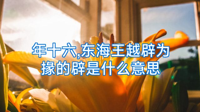 年十六,东海王越辟为掾的辟是什么意思