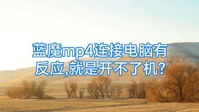 蓝魔mp4连接电脑有反应,就是开不了机?