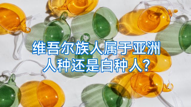 维吾尔族人属于亚洲人种还是白种人?
