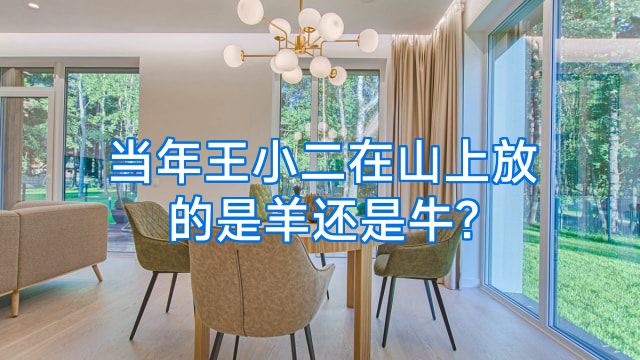 当年王小二在山上放的是羊还是牛?