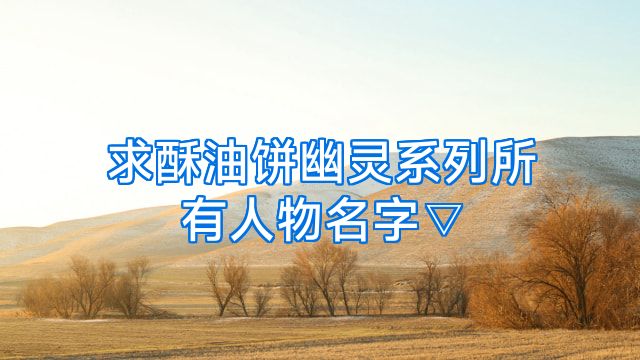 求酥油饼幽灵系列所有人物名字▽