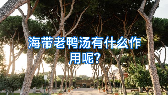 海带老鸭汤有什么作用呢?