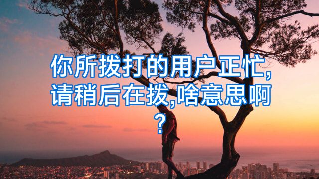 你所拨打的用户正忙,请稍后在拨,啥意思啊?