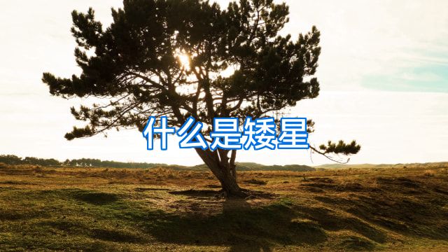 什么是矮星