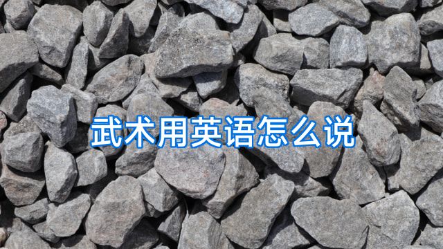 武术用英语怎么说