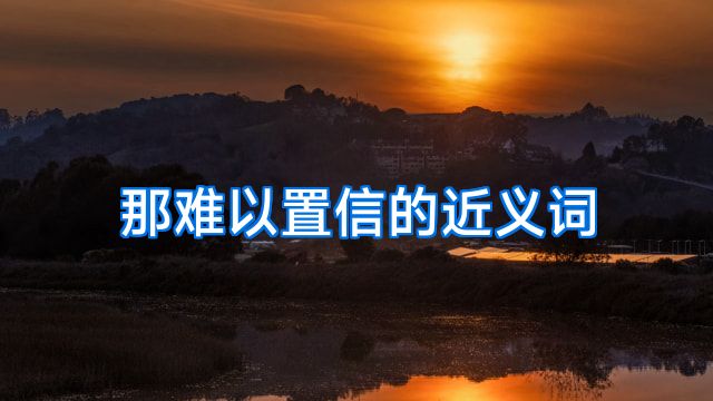 那难以置信的近义词