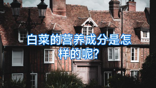 白菜的营养成分是怎样的呢?