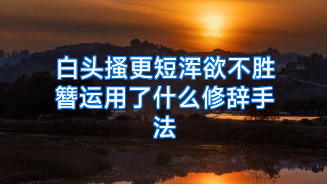 白头搔更短浑欲不胜簪运用了什么修辞手法
