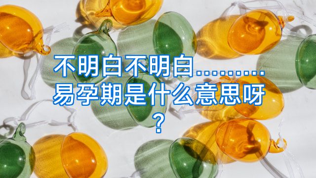 不明白不明白………易孕期是什么意思呀?