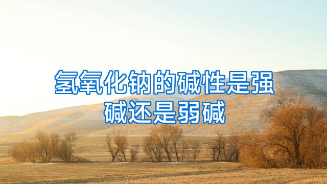 氢氧化钠的碱性是强碱还是弱碱