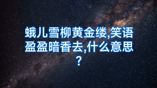 蛾儿雪柳黄金缕,笑语盈盈暗香去,什么意思?