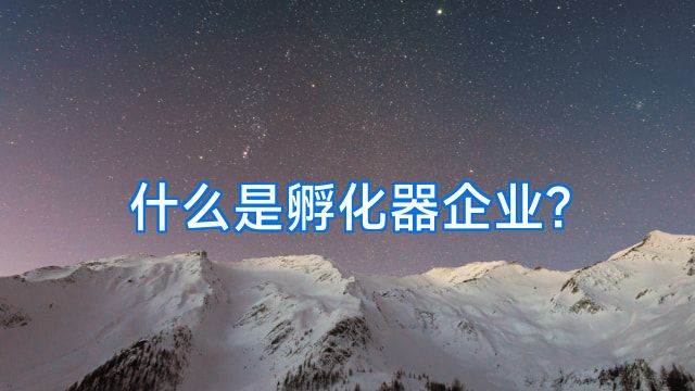 什么是孵化器企业?